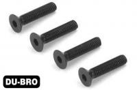Screws - 3.0mm x 10 Flat-Head Socket Screws (4 pcs per package)
