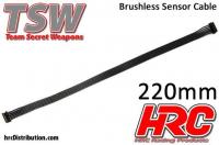 Câble plat de capteur Brushless -  220mm