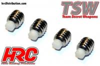 Option Part - M4 Droop Screws with Delrin Post - 6mm