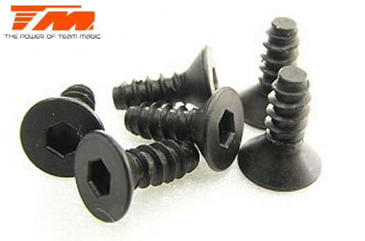 Team Magic - TM116308 - Screws - Flat Head - Self Tapping - Hex (Allen) - 3 x 8mm (6 pcs)