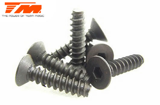 Team Magic - TM116416 - Screws - Flat Head - Self Tapping - Hex (Allen) - 4 x 16mm (6 pcs)