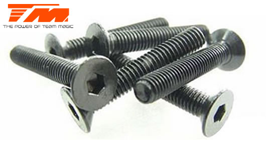 Team Magic - TM126320 - Screws - Flat Head - Hex (Allen) - M3 x 20mm (6 pcs)