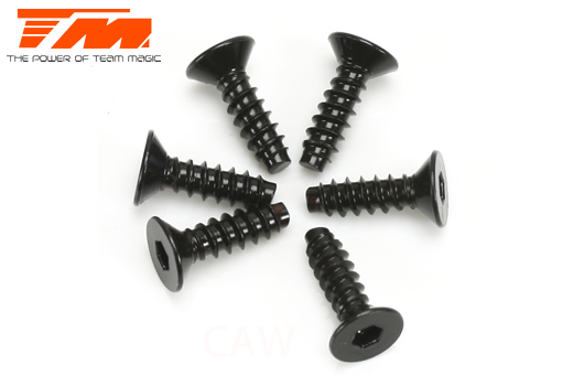 Team Magic - TM116310 - Screws - Flat Head - Self Tapping - Hex (Allen) - 3 x 10mm (6 pcs)