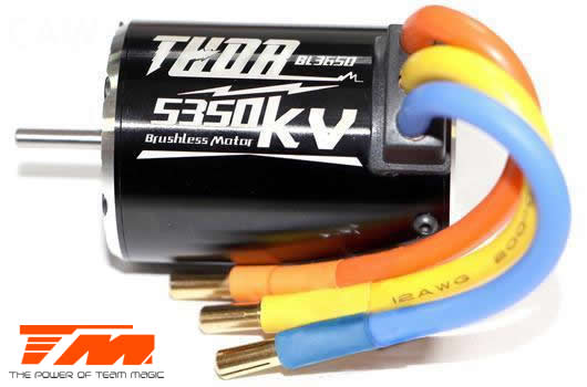 Auto - 1/10 Elettrico - 4WD Touring - RTR - Brushless - Team Magic E4JR II - T86