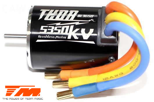 Team Magic - TM191005 - Brushless Motor - THOR 3650 - 6.5T / 5350KV (3.17mm shaft)