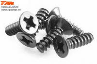 Screws - Flat Head - Self Tapping - 3 x 10mm (6 pcs)