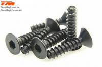 Screws - Flat Head - Self Tapping - Hex (Allen) - 3 x 12mm (6 pcs)