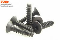 Screws - Flat Head - Self Tapping - Hex (Allen) - 4 x 16mm (6 pcs)