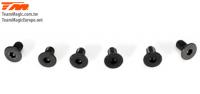 Screws - Flat Head - Hex (Allen) - M3 x  6mm (6 pcs)