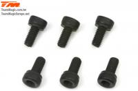 Screws - Cap Head - Hex (Allen) - M3 x  6mm (6 pcs)