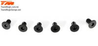 Screws - Flat Head - M3 x  6mm (6 pcs)