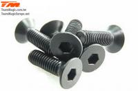 Screws - Flat Head - Hex (Allen) - M3 x 10mm (6 pcs)