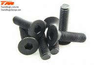 Screws - Flat Head - Hex (Allen) - M3 x 12mm (6 pcs)