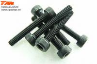 Screws - Cap Head - Hex (Allen) - M3 x 20mm (6 pcs)