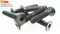 Screws - Flat Head - Hex (Allen) - M3 x 25mm (6 pcs)