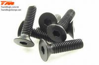 Screws - Flat Head - Hex (Allen) - M4 x 16mm (6 pcs)