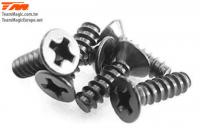 Screws - Flat Head - Self Tapping - 3 x 12mm (6 pcs)