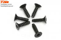 Screws - Flat Head - Self Tapping - Hex (Allen) - 3 x 10mm (6 pcs)