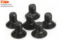 Screws - Flat Head - Hex (Allen) - M3 x  5mm (6 pcs)