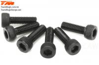 Screws - Cap Head - Hex (Allen) - M2.5 x 8mm (6 pcs)