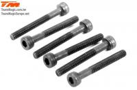 Screws - Cap Head - Hex (Allen) - M3 x 25mm (6 pcs)