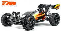 Auto - 1/8 Nitro - 4WD Buggy - RTR - Tirette - Team Magic B8JR