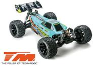 Car - 1/8 XL Electric - 4WD Truggy - RTR - 2500kv Brushless Motor - 4S - Waterproof - Team Magic TEKEN Mint-Green