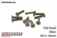 Screws - Flat Head - Hex (Allen) - M3 x 14mm (10 pcs)
