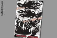 Adesivi - Carbon Fiber Flames